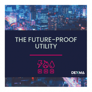 The Future-Proof Utility