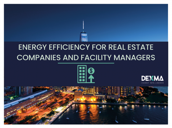 Energy Efficiency For Real Estate Companies And Facility Managers