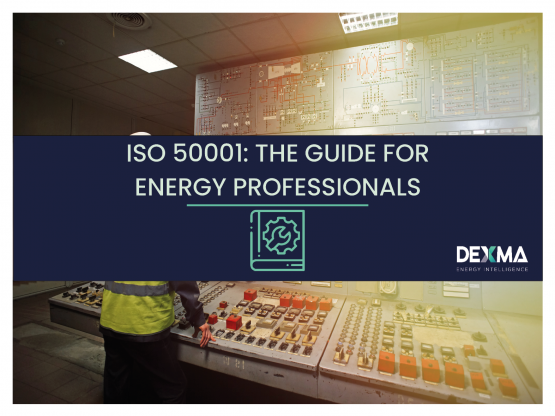 ISO 50001 The Guide For The Energy Professional