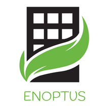 Enoptus