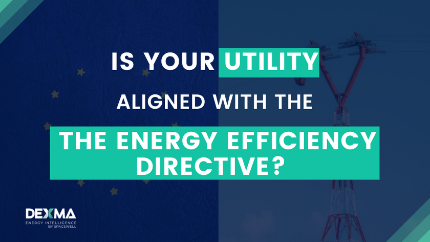 The role of the utilities in achieving the objectives of the Energy Efficiency Directive